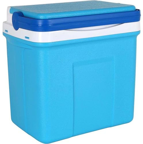 Nevera portátil con asa ergonómica, Ligera y compacta, Ideal para Playa, Camping, excursiones o Picnic, Bolsa térmica Porta Alimentos, Alternativa a Mochila Nevera isotérmica