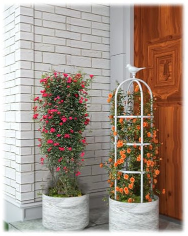 YHDZWY Metall Rankhilfe Mit Vogeldekoration Rankgitter Garten Rankobelisk - Für Pflanzen Und Zimmerpflanzen Ringdurchmesser 50cm Tomatenkäfig Garten Decoration(Color:Weiß,Size:ID50cmxH180cm)