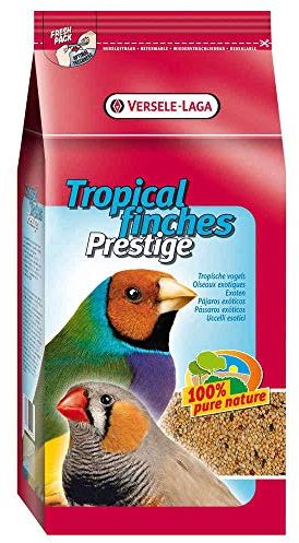 Versele-laga Prestige - Comida para pájaros exóticos (4 kg)