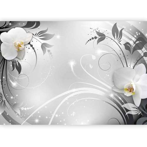 Fototapete murando 400x280 cm Vlies Tapeten Wandtapete XXL Moderne Wanddeko Design Wand Dekoration Wohnzimmer Schlafzimmer Büro Flur Blumen Orchidee b-A-0060-a-b
