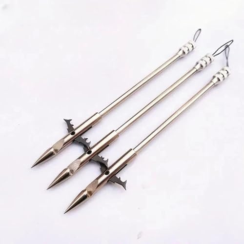 BeNtLi Freccette per Pesci in Acciaio Inossidabile, Freccette per Pesci Chiuse, Freccette per Pesci in Metallo, Freccette Speciali per La Pesca A Fionda, (10 Sticks)