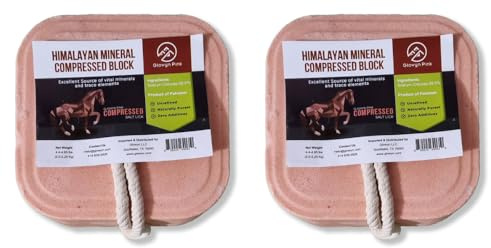 Glowyn Compressed Pink Himalayan Salt Lick for Horses - Durable 4.4-4.9 lbs Block (2 Pack) 84 Minerals, No Additives | Weather Resistant Salt Block for Livestock, Cattle, Deer