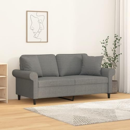 LoogCape 2-Sitzer-Sofa Dunkelgrau mit Kissen 140 cm Stoffbezug, gepolstert, robustem Metallrahmen, platzsparend für Wohnzimmer, Büro, Gästezimmer, mit bequemer Armlehne und Rückenkissen