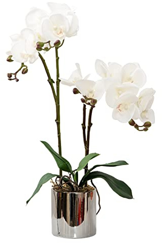 CXGS Artificial Orchid Flower Plant Real Touch Faux Orchids in Ceramic Vase White 19.7'' Fake Phalaenopsis Flower Arrangement Centerpiece Home Indoor Decor