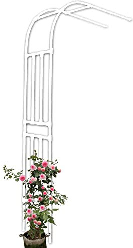 Arche de jardin en métal pour rosiers grimpants - Fixation murale - Résistante aux intempéries - Arche ronde pour pelouse, jardin, terrasse, blanc (2 x 2,67 x 0,5 m)