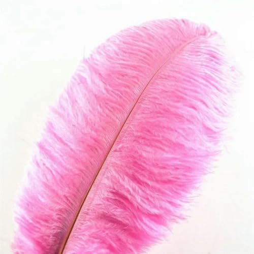 10 plumas de avestruz rosas para manualidades, 15-70 cm (6-28 pulgadas), grandes, decorativas, para carnaval, accesorios de boda, bricolaje, 55-60 cm, mástil grande.