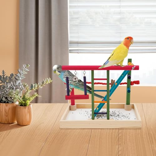 Parco giochi per uccelli, parco giochi in legno, supporto con scala giocattolo, altalena per pappagalli, cockatiels, coni, fringuelli, parrocchetti, ninfa, aras