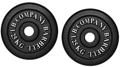 Bad Company Hantelscheiben aus Gusseisen I Gewichtsscheiben 30/31 mm für das Hanteltraining I 2,5 kg (2 x 1,25 kg)