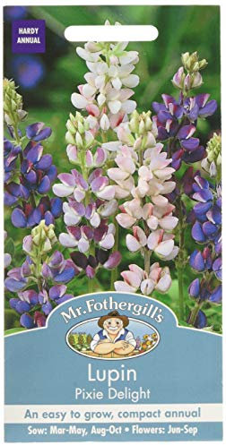 Mr. Fothergill's Lupin Pixie Delight Flower Seeds, white/pink/blue