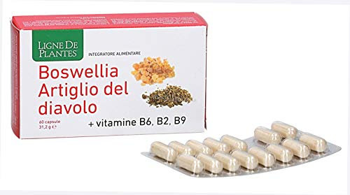 BOSWELLIA ARTIGLIO DEL DIAVOLO VITAMINA B6 B2 B9 60CPS##*-