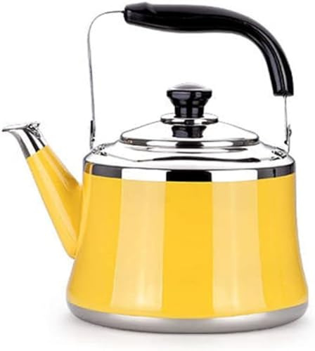 Stainless Steel Kettle Extra Thick Electric Whistling Kettle - 3L