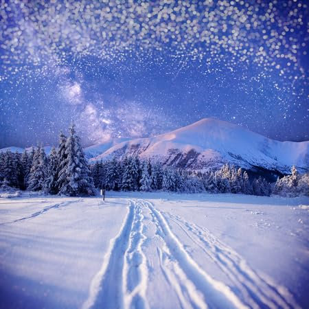 adrium Acryl-Bild 60 x 60 cm: Sternenhimmel in der verschneiten Winternacht. (71545171)
