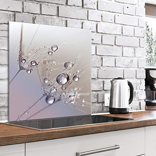 murando Glass Splashback for Kitchen Backsplash Cooker Protector | Tempered Glass Decorative Wall Art Panel Heat Resistant Graphic 80x80 cm / 32x32 Flowers Dandelion Water drops