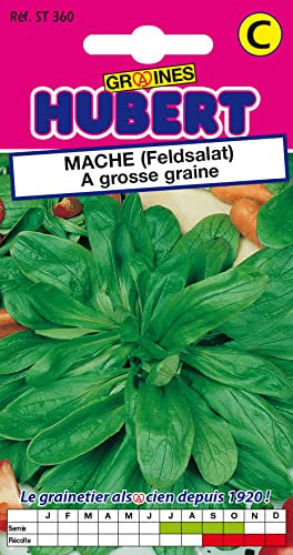 Graines de Mâche a grosse graine - 4 grammes