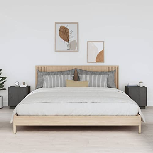 LAPOOH Nachttische 2 STK Nachtschrank, Nachtkonsole, Bedside Tables, Nachtkästchen, Beistellschrank, Nightstand, Nachtkommode, Grau 40x34x45 cm Massivholz Kiefer