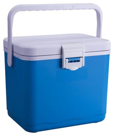 AMZLORD Refrigerador portátil aislado de 4,5 l con asa, refrigerador para autocaravana, preservación del calor, minicongelador, refrigerador para acampar