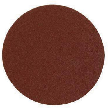 Qty 10-300mm 12 Inch Sanding Punched Discs 80 Grit - Orbit Sander - Hook & Loop - Loops