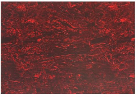 Musiclily Pro 20x25cm Akustische Gitarre Schlagbrett Rohmaterial Red Pearl | Selbstklebende