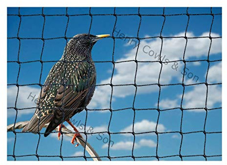 Bird Netting For the Garden 5m x 5m 28mm Anti Starling Knotted 1 1/8 Mesh Heavy Duty Black Net
