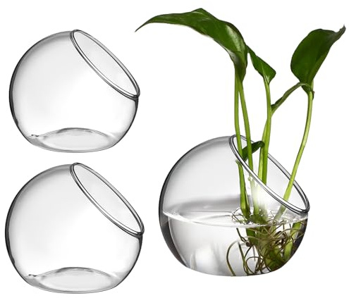 Parliky Elegante Glaspflanze Terrarium Schüssel Gläser Pflanze Container Für Home Office Bücherregal Dekorationen