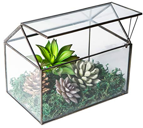 WONSUN Husform nära glas geometriskt terrarium bord suckulent växt hus trädgård geo planterare mossa ormbunke gunglock reptil, blomkruka för växter suckulent, luftväxt (svart)