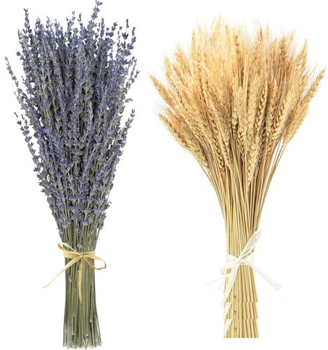 Lavanda Essiccata& Spighe Di Grano Decorative,Casa Fascio Da Vere Naturali fiori di grano secco erba mazzo fascio di fiori artificiali secchi puleggia per camino, casa, chiesa, tavolo matrimonio