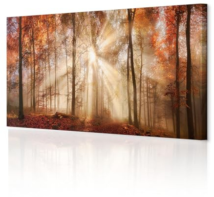 decomonkey Bilder Wald Herbst 150x50 cm XXL 1 Teilig Leinwandbilder Natur | Strukturleinwand, Holzkeilrahmen, Bild auf Leinwand, Wandbild, Kunstdruck, Wanddeko, Wohnzimmer, Wanddekoration, Landschaft