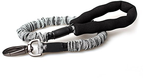 Elastische Hundeleine Haltbare Retrieverleine Soft Umhängeleine Hundeführleine Walking Leine mit Ruckdämpfer Robuste Trainingsleine für Klein Mittelgroße Grosse Hunde bis Maximal 60 kg (grau)