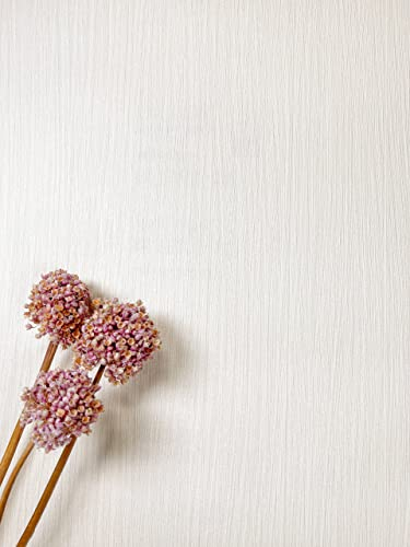 NEWROOM Tapete Creme Vliestapete Einfarbig - Unitapete Uni Beige Sandfarben Struktur Textur Abwaschbar Modern Küche inkl. Tapezier-Ratgeber