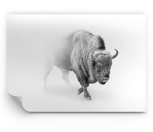 ARTTOR Papier Peint Autocollant Panoramique Deluxe - Wisent Noir Et Blanc La Lumière - 150x105 cm - Revêtement mural décoration Moderne Décoration Wallpaper Photo Salon Chambre - WF4AA150x105-4418