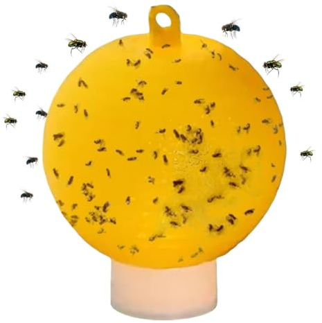 Fiorky Attrape-Mouches, Pièges à Mouche des Fruits Pièges à Insectes Volants Balle Piège à Insectes Volants Multifonction en Forme d'agrumes pour Mouche des Fruits Hoverfly Gnat