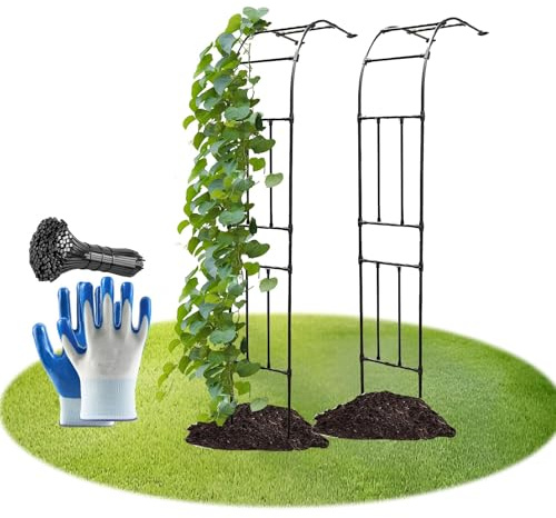 1 Pièces Arche De Jardin Demi-côté, Tonnelle De Jardin Résistant, Tonnelle De Jardin Robuste, Cadre en Acier, Demi-Arc pour Plantes Grimpantes(Black,2.2M*2.4m/7.2FT*7.8FT)