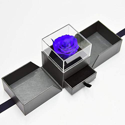 Ewige Rose Rose Die Schöne und das Biest Geschenke zum Valentinstag Valentinstag Geschenke für Frauen Rot (Blau)