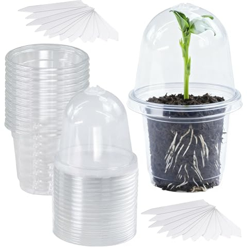 Maceta Transparente, 24 Piezas Macetas de Plástico, 9 de Diámetro, Macetas para Orquídeas con 24 Etiquetas Planas, Maceta Orquidea con Tapa, Maceteros, para Plantas Suculentas