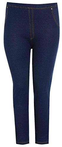 New Womens Plus Size High Waisted Stretch Ladies Skiny Jeggings Leggings Jeans 16-26 (UK 20/22, Navy)