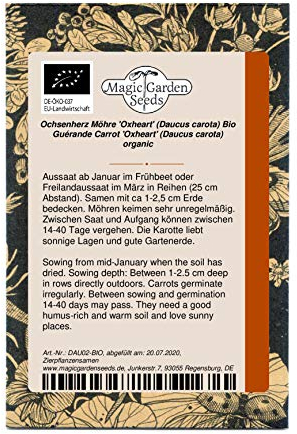 Orange mittelspäte Ochsenherz Möhre 'Oxheart' (Daucus carota) Bio 500 Samen