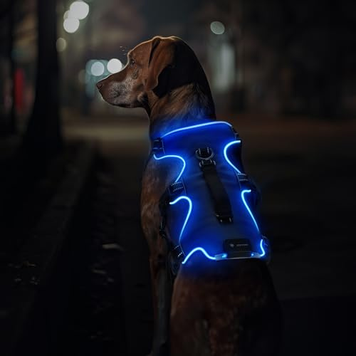 Jewyow Hundegeschirr Leuchtend, Wiederaufladbare LED Hundegeschirr | Led Geschirr für Hunde mit Weicher Griff, 3 Einstellbare Modus, Wasserdicht für Mittelgroße, Große Hund, Blau-XL