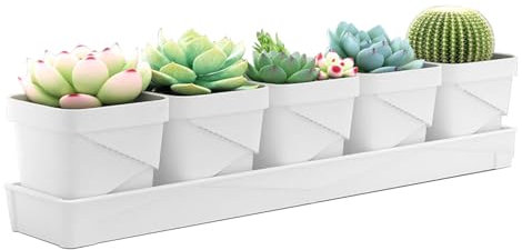 KAHCOP Indoor/Outdoor Herb Garden Planter Set, White, 33 cm (W) x 6.5 (L) 7.2 (H), Breathable, Drainage Hole, Weather Resistant, Tabletop, Indoor/Outdoor