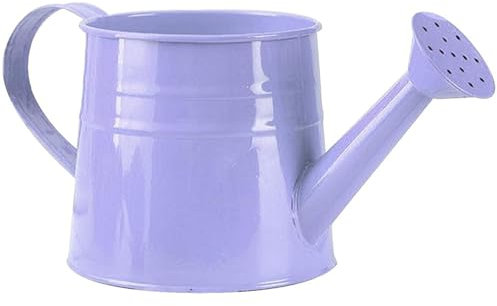 Arrosoir décoratif en métal pour Plantes d'intérieur, 1 l, Petit Pot de Fleurs galvanisé, arrosoir pour Plantes de Jardin, Pot d'arrosage Violet pour 'intérieur