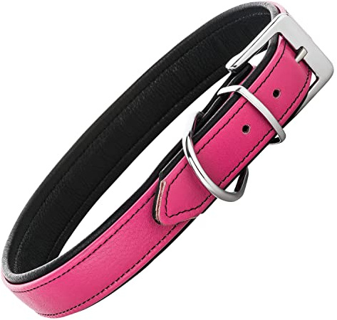 Schnüffelfreunde Lederhalsband Fun Line - Hundehalsband für den großen, mittleren und kleinen Hund - Halsband für Hunde aus Leder - gepolstert & robust (L - 36-45cm, Pink-Schwarz)