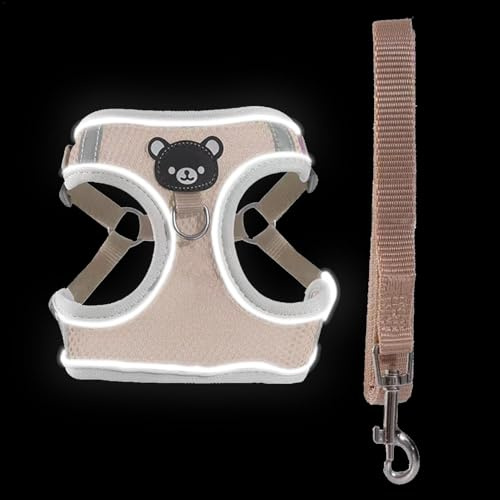 Imbracatura per cane che al buio, imbracatura per cani illuminata, set di corde e imbracatura per cuccioli, imbracatura regolabile per cani, gilet per cuccioli, imbracatura luminosa per