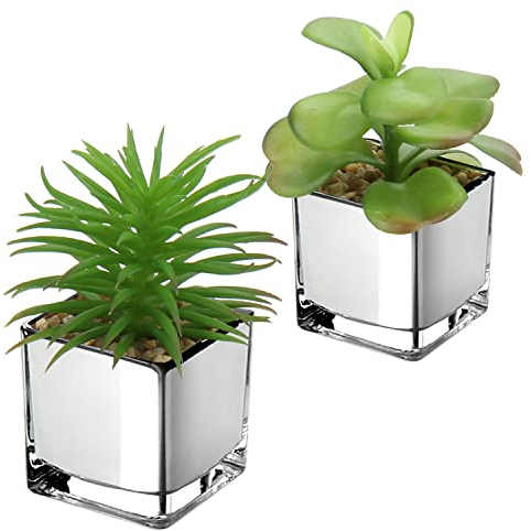 2PCS Sukkulenten Künstlich Kunstpflanze Deko Pflanze im Glastopf Dekorative Mini Sukkulenten Zimmerpflanze für Badezimmer Balkon Schlafzimmer Wohnzimmer Schreibtisch Dekoration