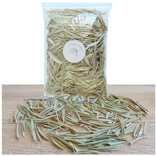 Feuilles d'olivier Séchées Entières Confettis Fleurs Séchées Mariage 1L | Confettis de Mariage, Fine feuilles, Décoration Mariage, Table Bohème Champêtre, Pétales à Jeter, France