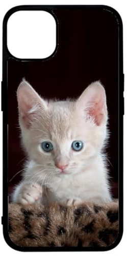 FunKaz Coque pour iPhone 14 Plus - Bébé Chat Tout Mignon - Chaton Yeux Bleus - Coque Noire TPU