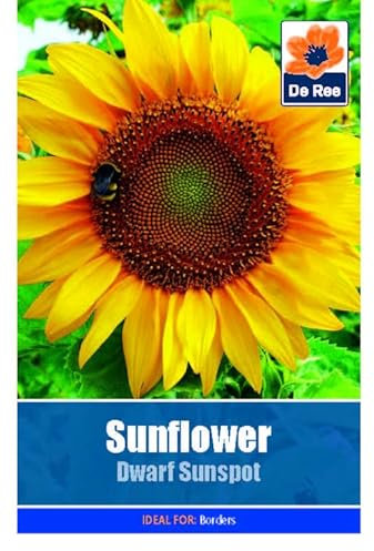 Flower Seeds Sunflower Dwarf Sunspot - 22 Seeds Packet Plant Bedding Borders Containers Pots Grow Your Own Garden Plant Seed