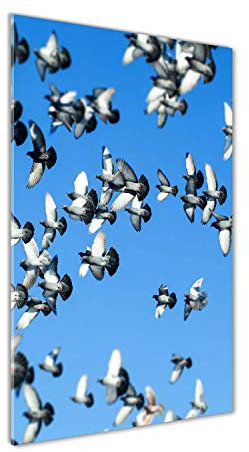 Tulup - Impression sur Verre Acrylique - 70x140 - Image sur Plexiglas - Déco Mural derrière Le Plastique - Tableaux pour la Mur - Mural Art - Décoration - Paysage - Bleu - Pigeons dans Le Ciel