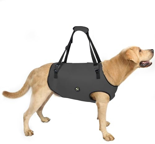 Coodeo Hundeliftgeschirr, Haustierunterstützung & Rehabilitation Sling Lift Verstellbare Gepolsterte atmungsaktive Gurte für Alt, Gelenkverletzungen, Arthritis, Stabilitätsverlust Hunde(Schwarz, XS)