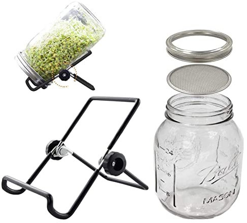 Ziurmut Sprout Glass, Brotación Boca Ancha 4,9 X 3,5 Pulgadas, Tarros Boca Ancha, Tarros Albañil para Germinar Semillas, Kit Tarros Germinación, Tapas Acero Inoxidable, Asegura L