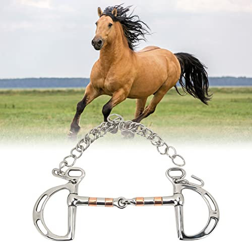 TICFOX Pferdegebiss, Pferdetrense aus Edelstahl, Kupfer, D-Ring-Trense Mit Kette Für 125 Mm Pferdemaul