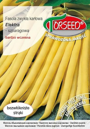 Verdica Semillas de frijol enano Elektra (Phaseolus vulgaris) – Maduración muy temprana, vaina sin hilos de 12 – 15 cm, perfecta para el cultivo de túneles, confianza directa en el mercado (30 gramos)